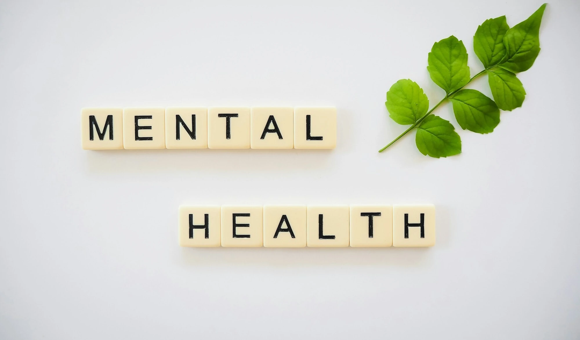 Mental health care plan (MHCP)